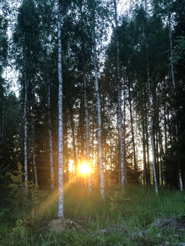 Jussit juhlittu pihahommien lomassa. Ja vielä viikko lomaa. 😍